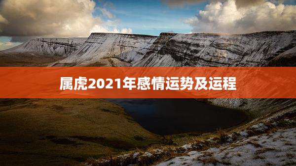 属虎2021年感情运势及运程