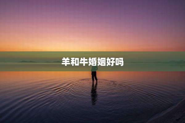 羊和牛婚姻好吗