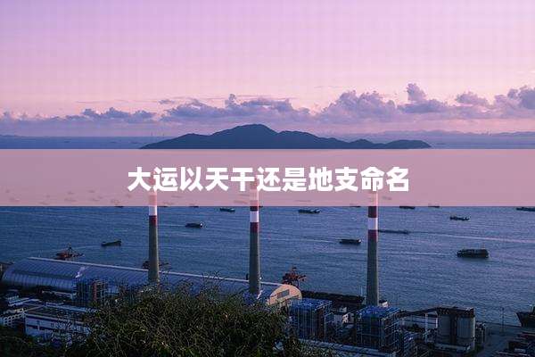 大运以天干还是地支命名