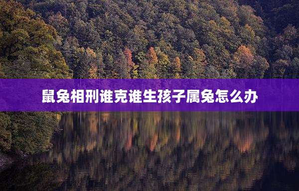 鼠兔相刑谁克谁生孩子属兔怎么办