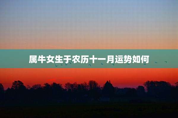 属牛女生于农历十一月运势如何