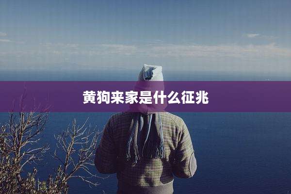 黄狗来家是什么征兆
