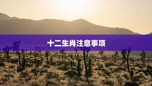 十二生肖注意事项
