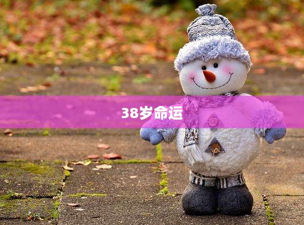 38岁命运