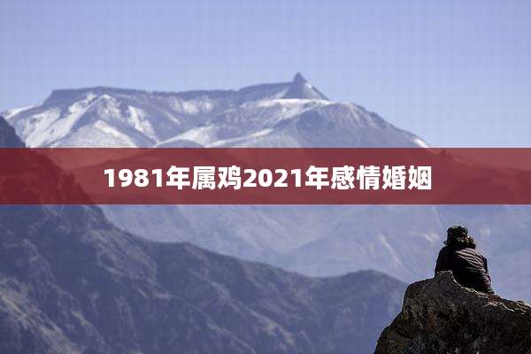 1981年属鸡2021年感情婚姻