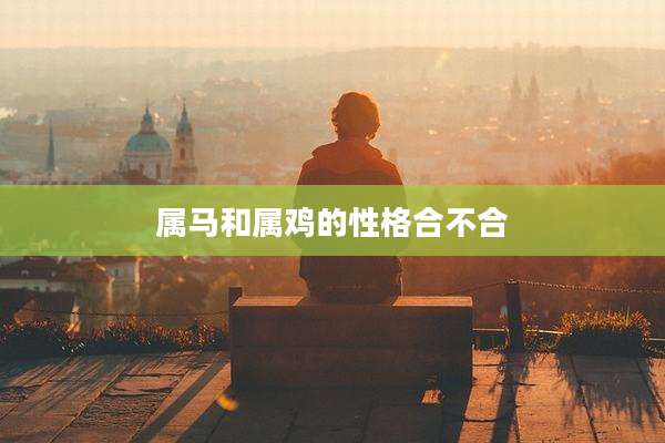 属马和属鸡的性格合不合