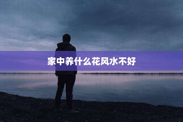 家中养什么花风水不好