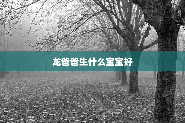 龙爸爸生什么宝宝好