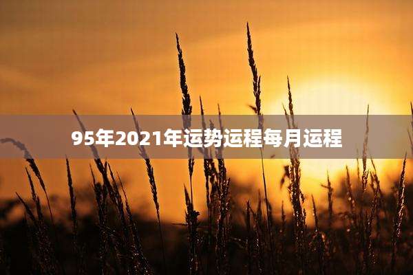 95年2021年运势运程每月运程