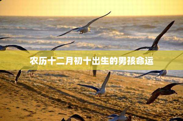 农历十二月初十出生的男孩命运