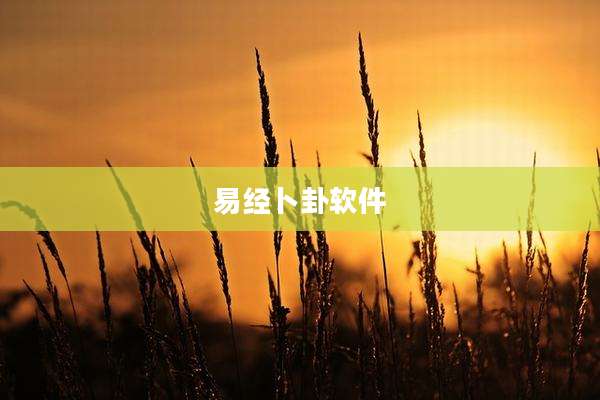 易经卜卦软件
