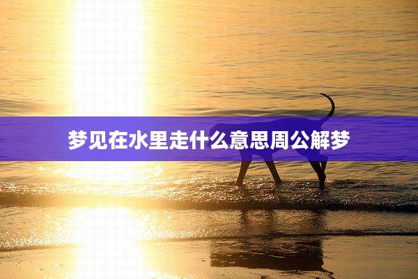 梦见在水里走什么意思周公解梦