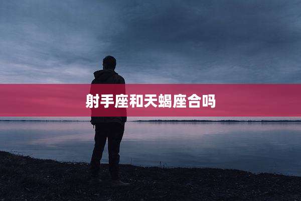 射手座和天蝎座合吗