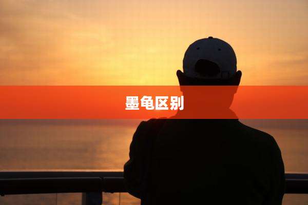 墨龟区别