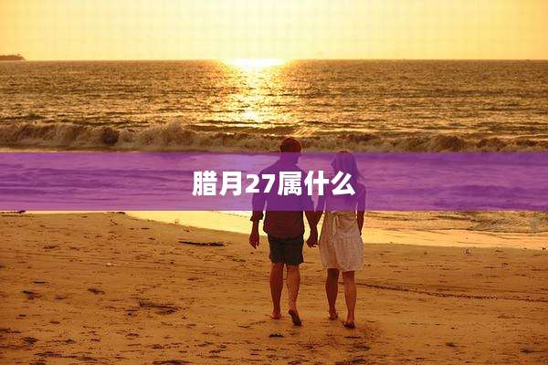 腊月27属什么