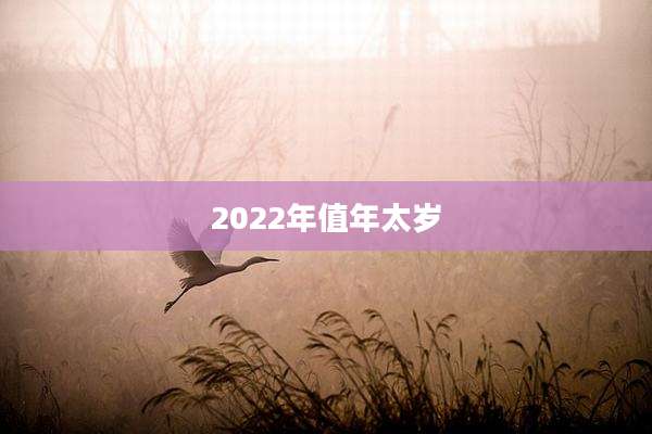 2022年值年太岁