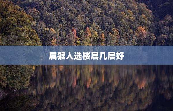 属猴人选楼层几层好