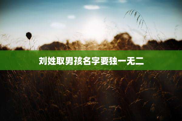 刘姓取男孩名字要独一无二