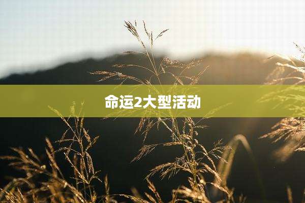 命运2大型活动