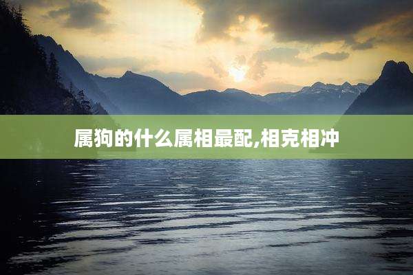 属狗的什么属相最配,相克相冲