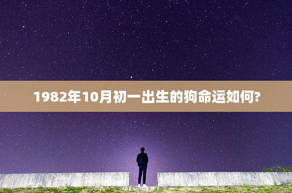 1982年10月初一出生的狗命运如何?
