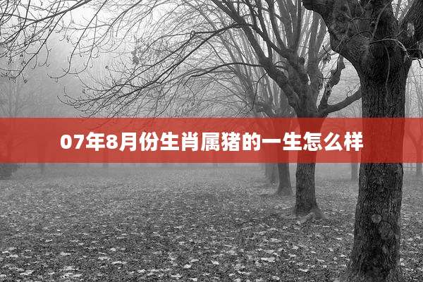 07年8月份生肖属猪的一生怎么样