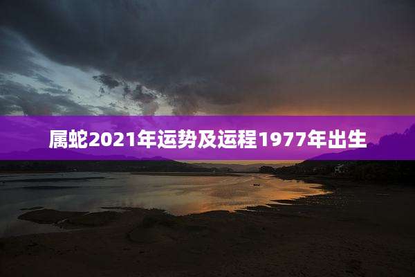 属蛇2021年运势及运程1977年出生