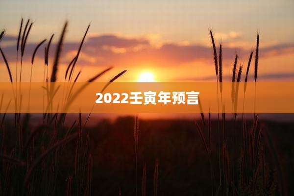2022壬寅年预言