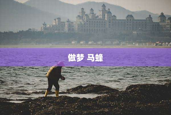 做梦 马蜂