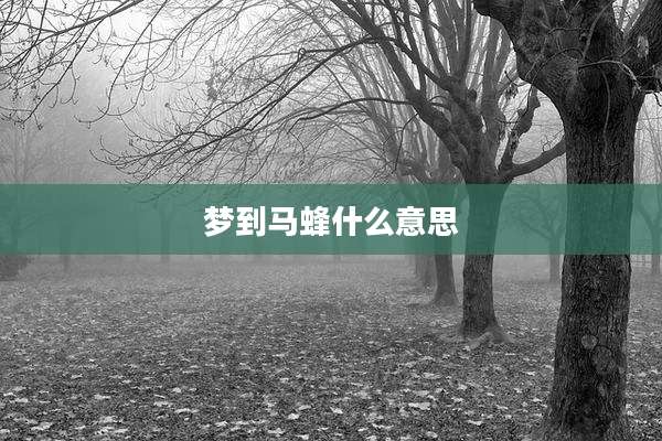 梦到马蜂什么意思
