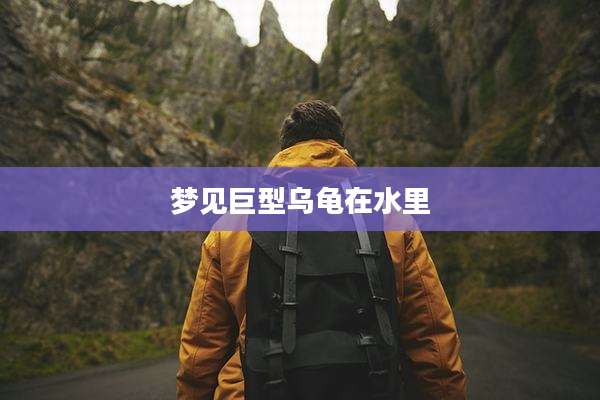 梦见巨型乌龟在水里