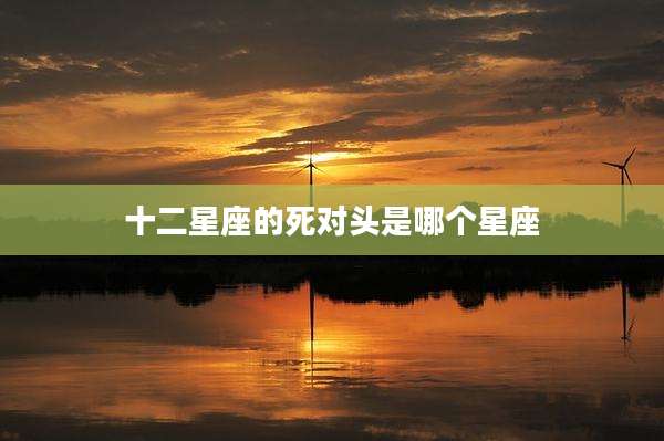 十二星座的死对头是哪个星座
