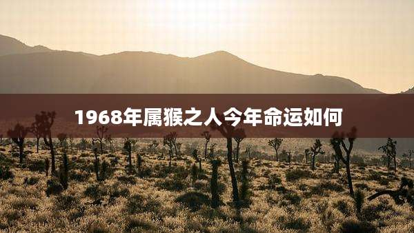 1968年属猴之人今年命运如何