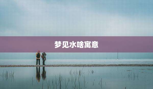 梦见水啥寓意