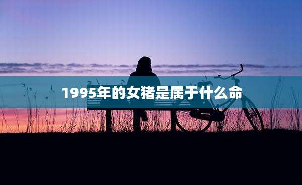 1995年的女猪是属于什么命