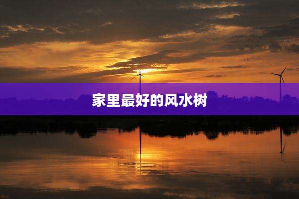 家里最好的风水树