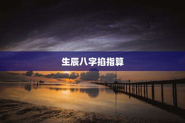 生辰八字掐指算