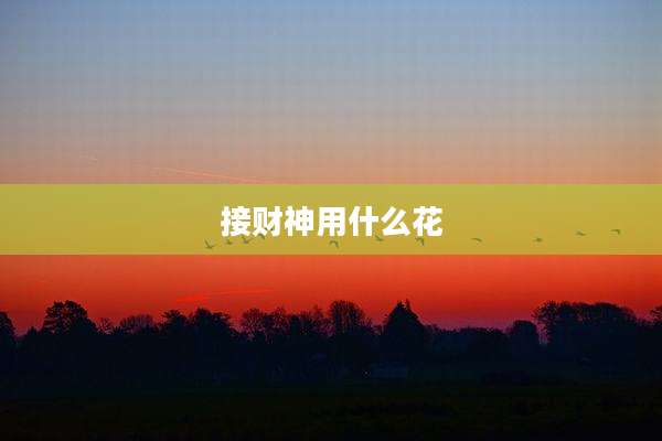 接财神用什么花