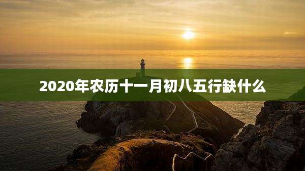 2020年农历十一月初八五行缺什么