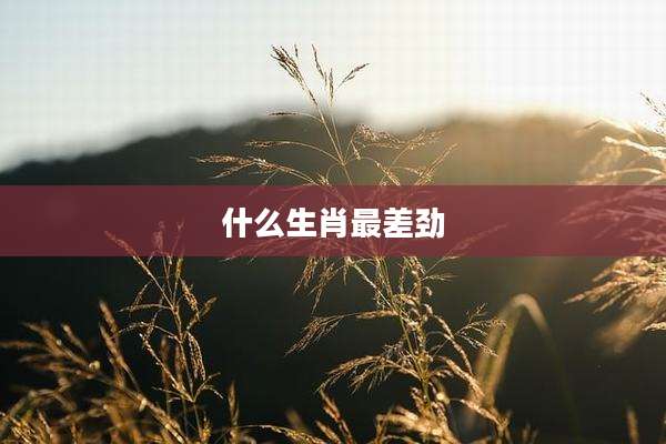 什么生肖最差劲