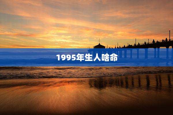 1995年生人啥命