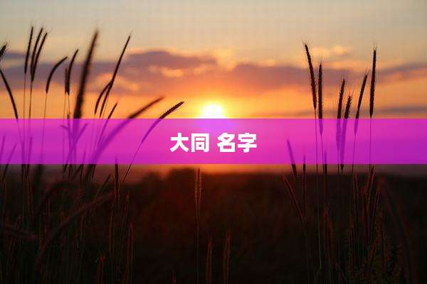 大同 名字