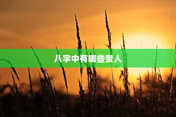 八字中有哪些贵人