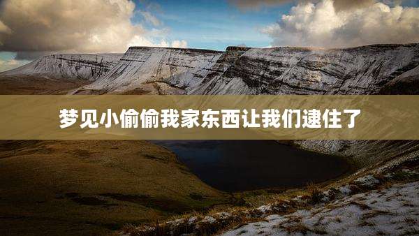 梦见小偷偷我家东西让我们逮住了