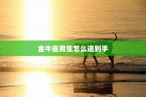 金牛座男生怎么追到手