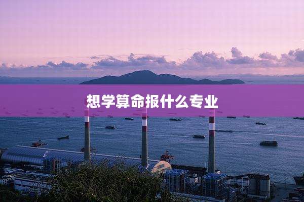 想学算命报什么专业