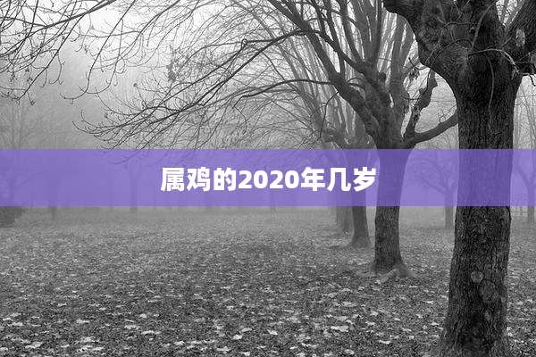 属鸡的2020年几岁