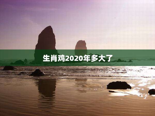 生肖鸡2020年多大了