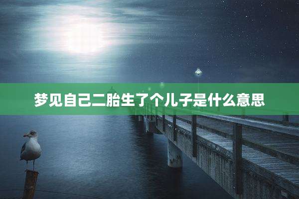 梦见自己二胎生了个儿子是什么意思