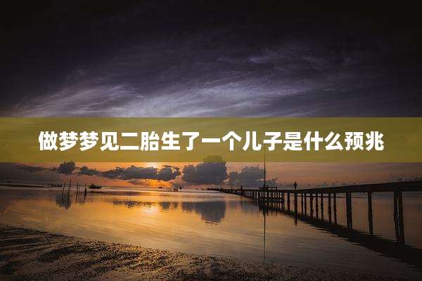 做梦梦见二胎生了一个儿子是什么预兆
